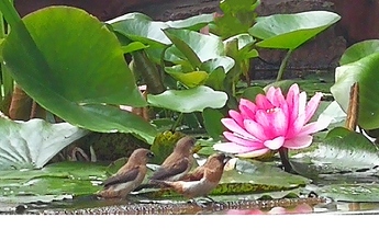 IMG_20200517_122507_mh1589689814920