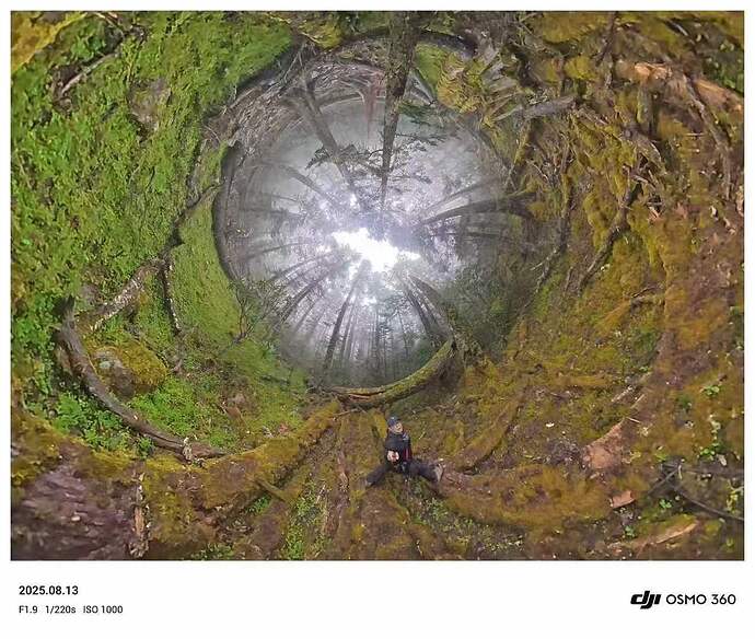 087bf470020bc49a32711d5e84470e88