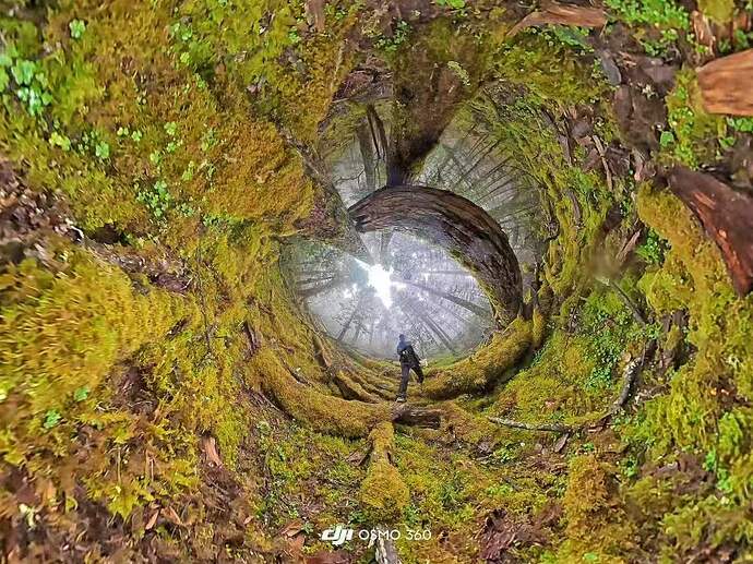 4d93404103fe67626ca5928e6e8706d8