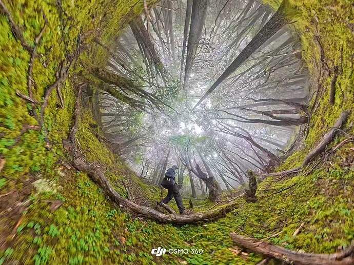 c9a83d863f08b2c783861d5ffbd0a7f5