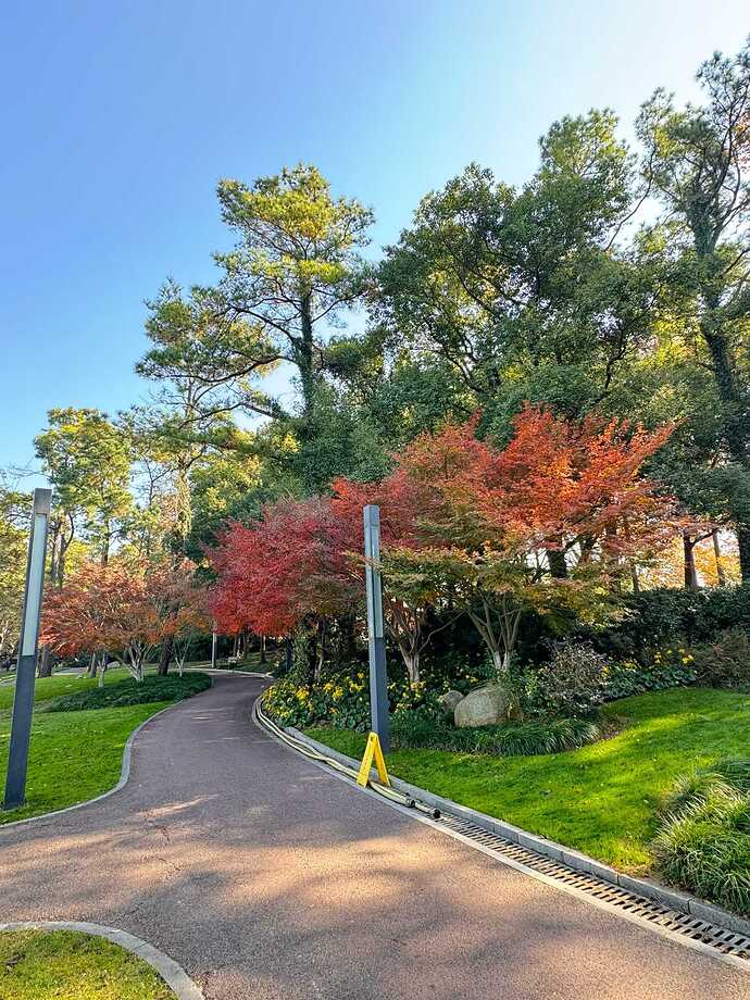 3259ce920c27cda84598072f9d51e0a1