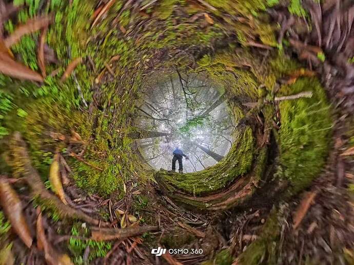 a156ee0e499ee5f43af5c3f05de7b112