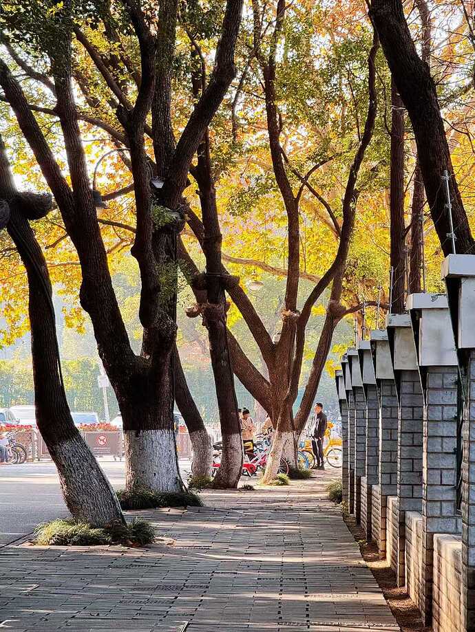 d31b8b12511ffcdae92e2393c46a2725