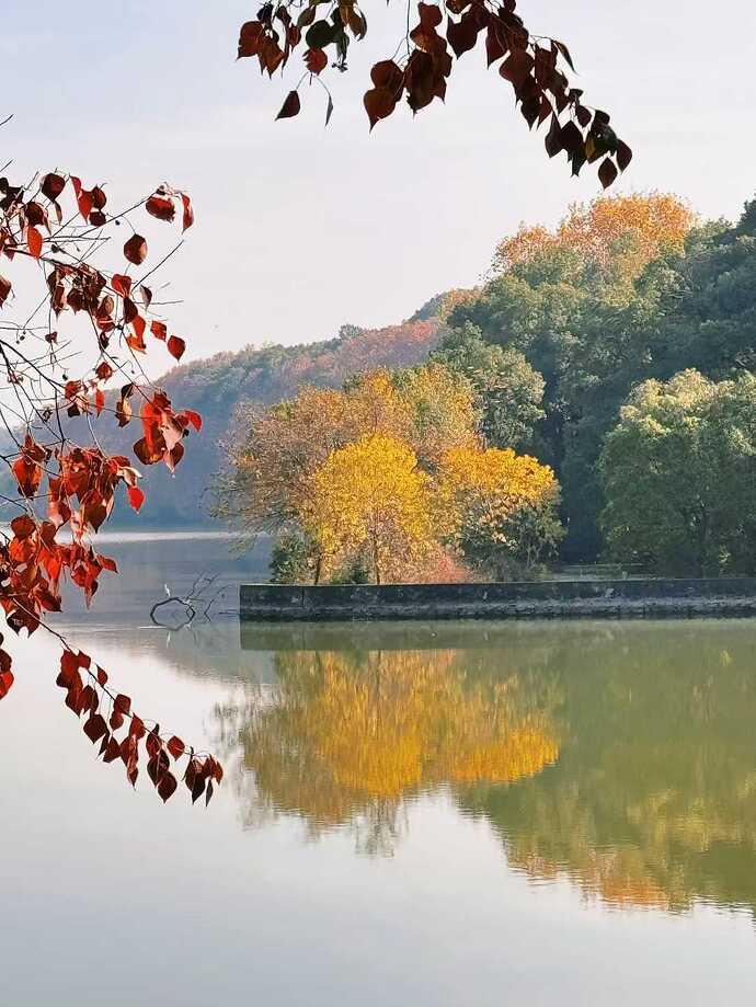 df376871752449c60b156482f4108e45