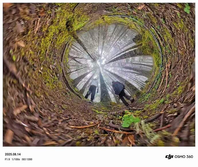 1b469db90be0cf0fbd5e96e11d63b15f