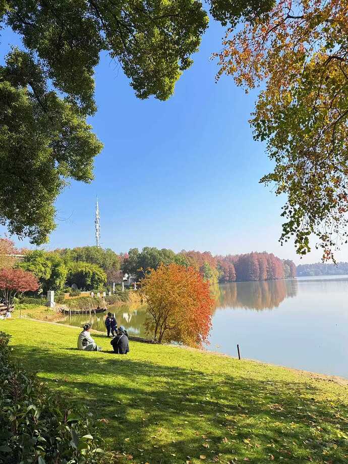 4f6f0b84246d582a49902845c90e1709