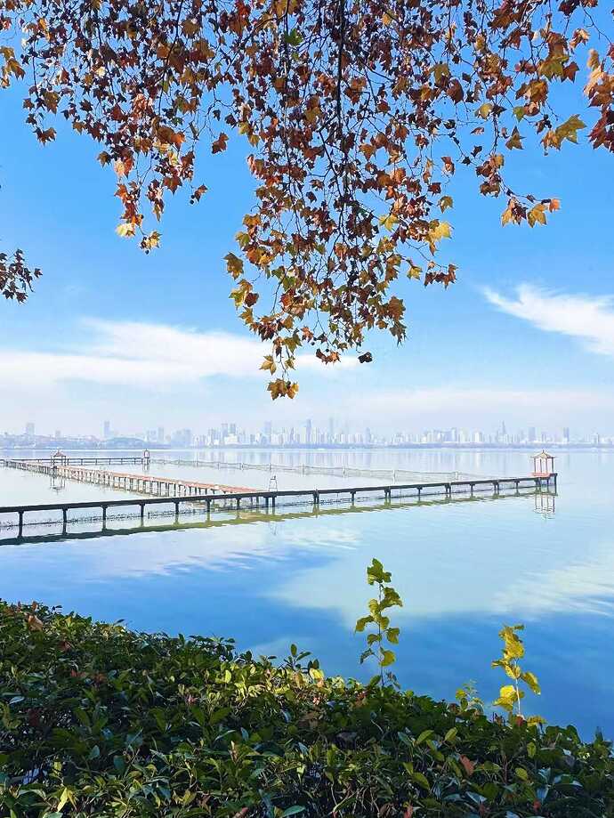 a5d2a7f9a56802f22c4187c166c991b3