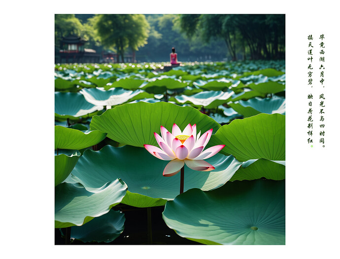 晓出净慈寺送林子方(杨万里)