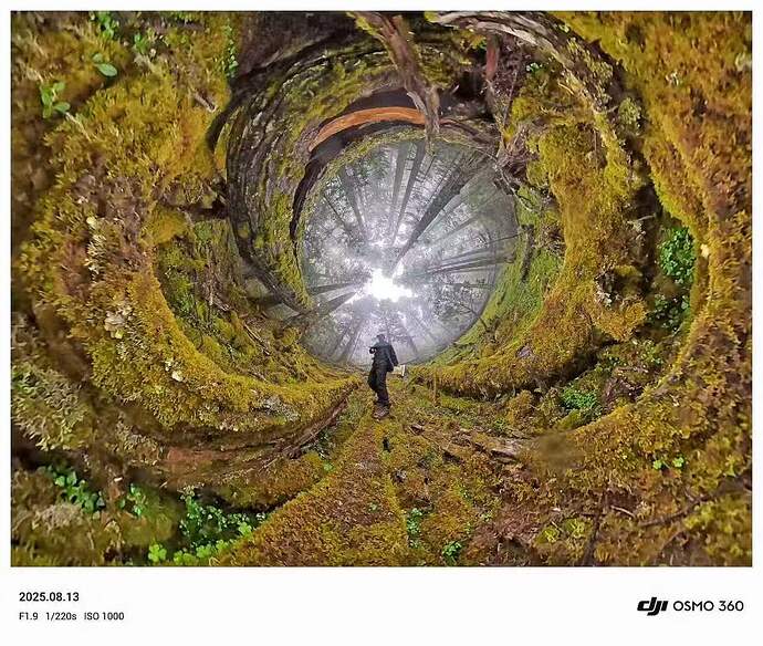 5e994c43c7725df465f65848633078b8