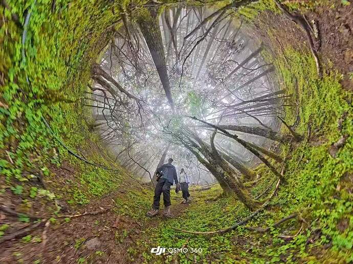 03b486a6bbe32ce86735dfc6bb63660e