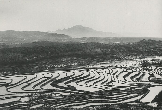 淡水梯田景觀