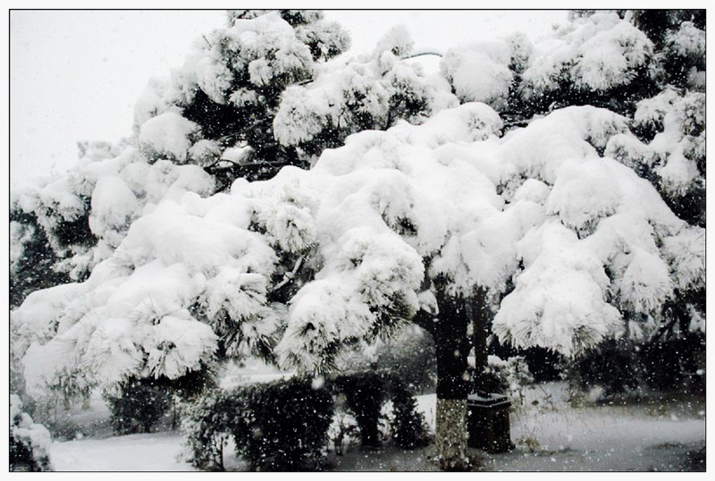 大雪时分.jpg