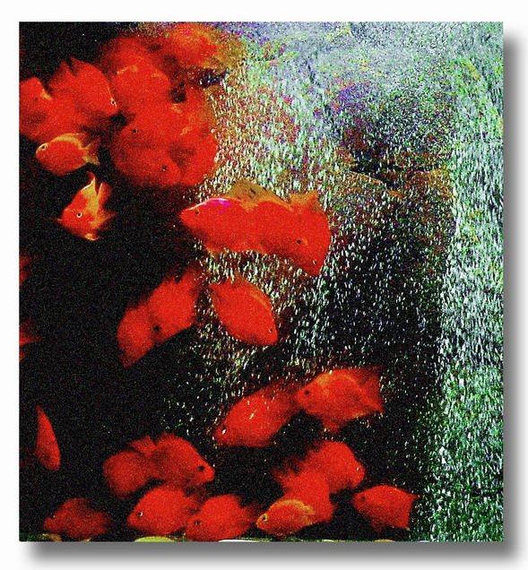 调整大小 曝光 IMG_0010.jpg