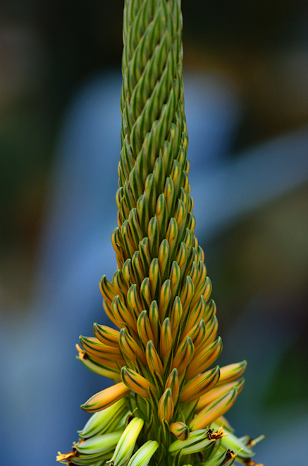110214threebs.jpg