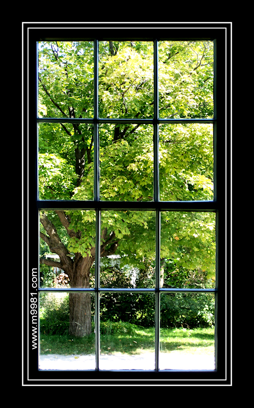 090908windowcs.jpg