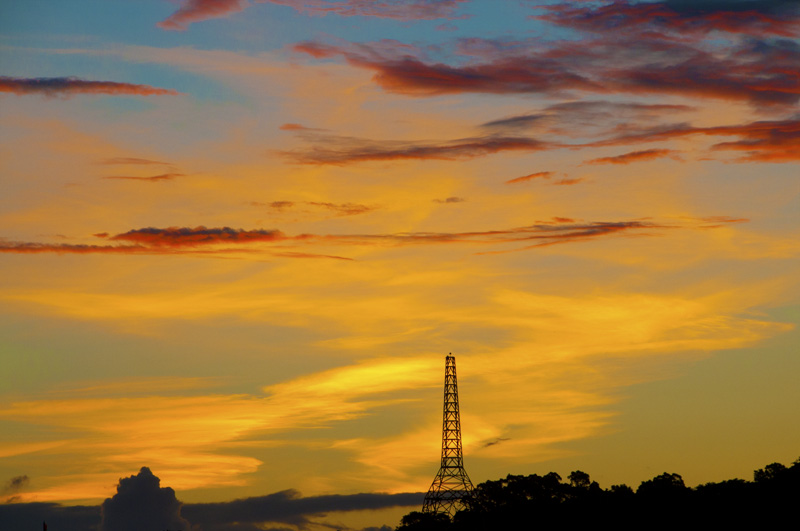 P_DSC_3140.jpg