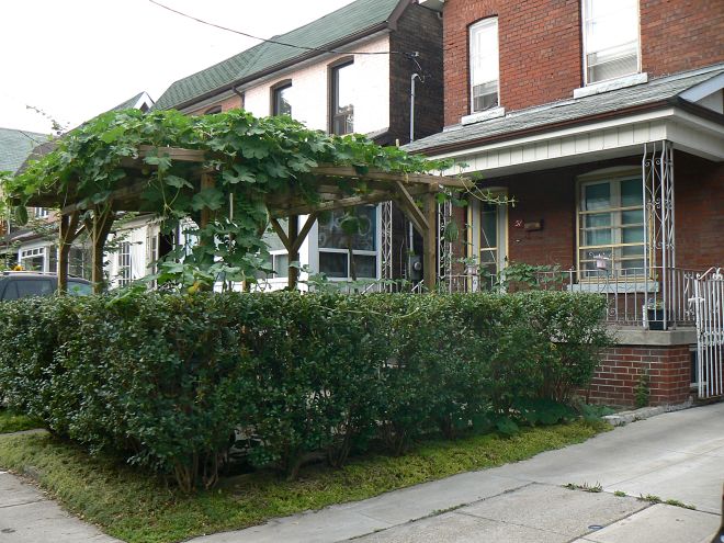 130825 spmeloncs.jpg