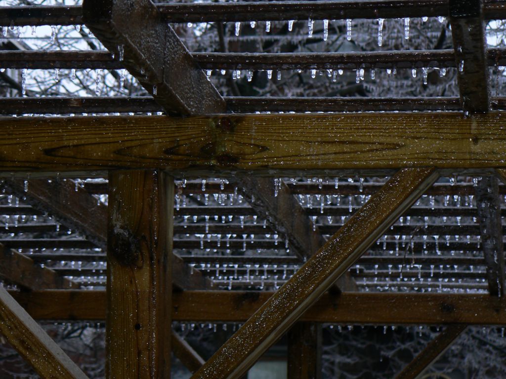 140217 4seasonsdm.jpg