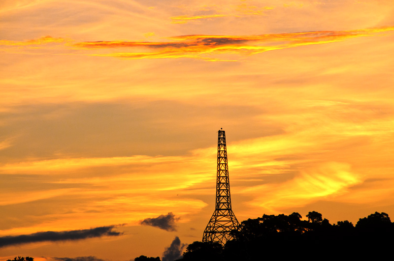 P_DSC_3172.jpg