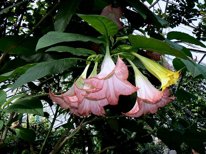 130316 Mantuoluods.jpg