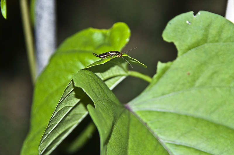 140720as.jpg