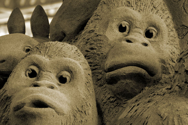 080901sandsculpturees.jpg