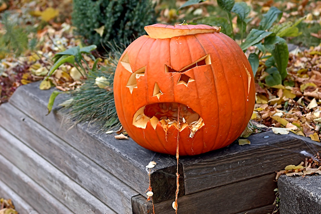 081102Halloweenfs.jpg