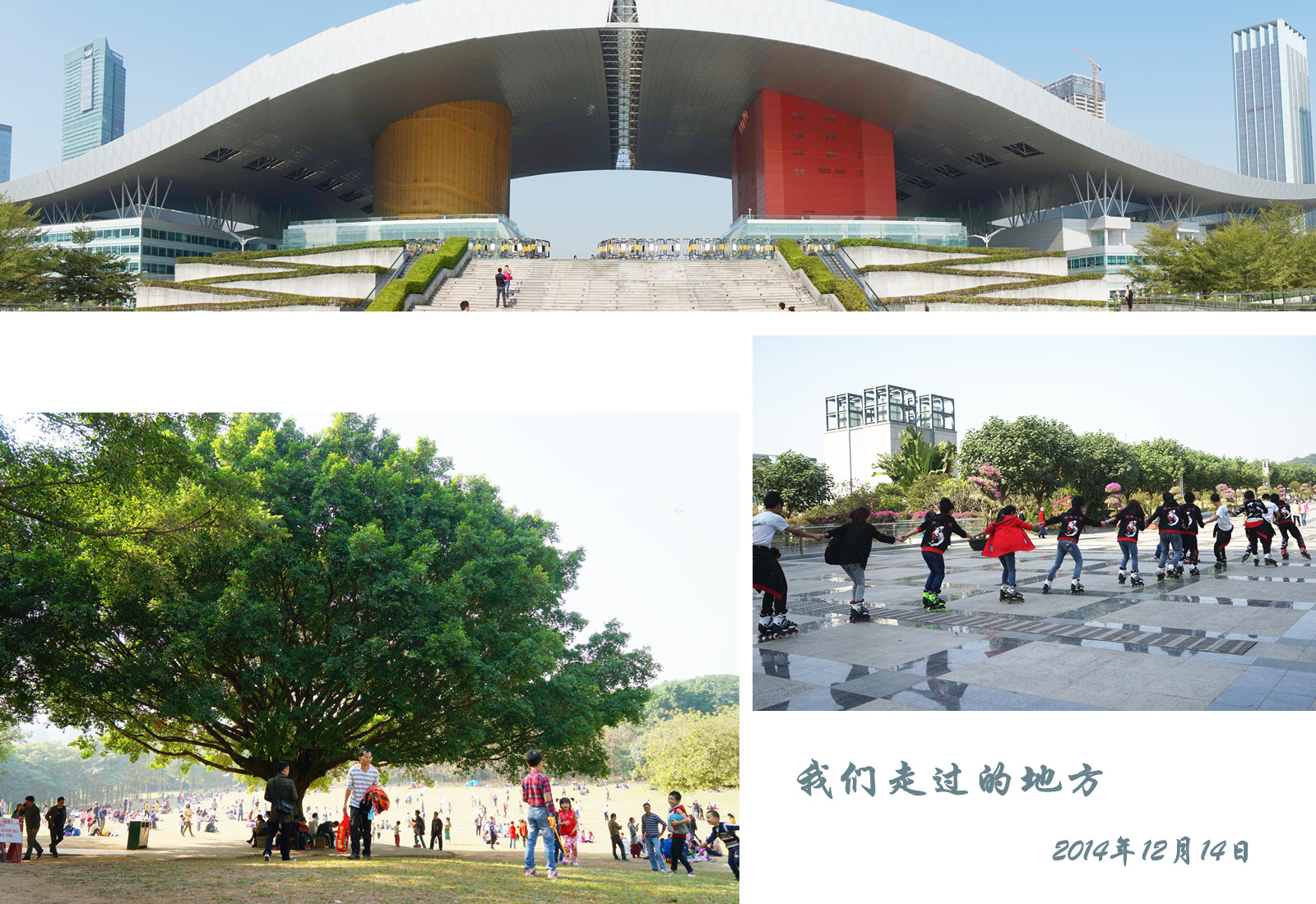 DSC08879_副本_副本.jpg