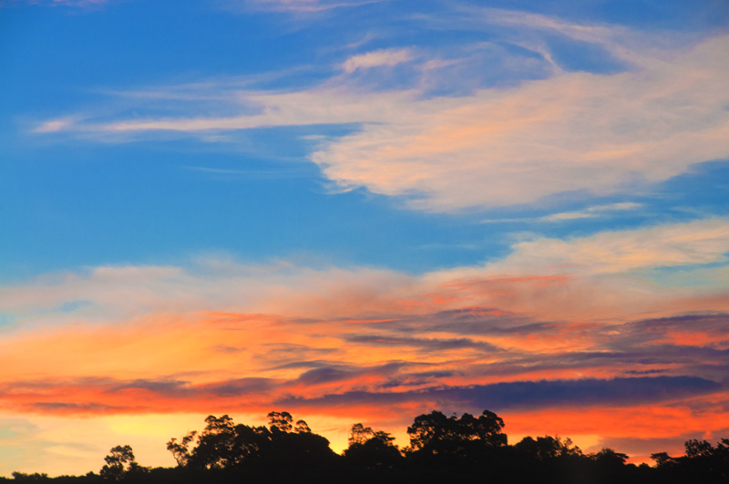 P_DSC_3156.jpg