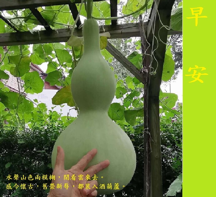 111   葫蘆 2026 0831 005