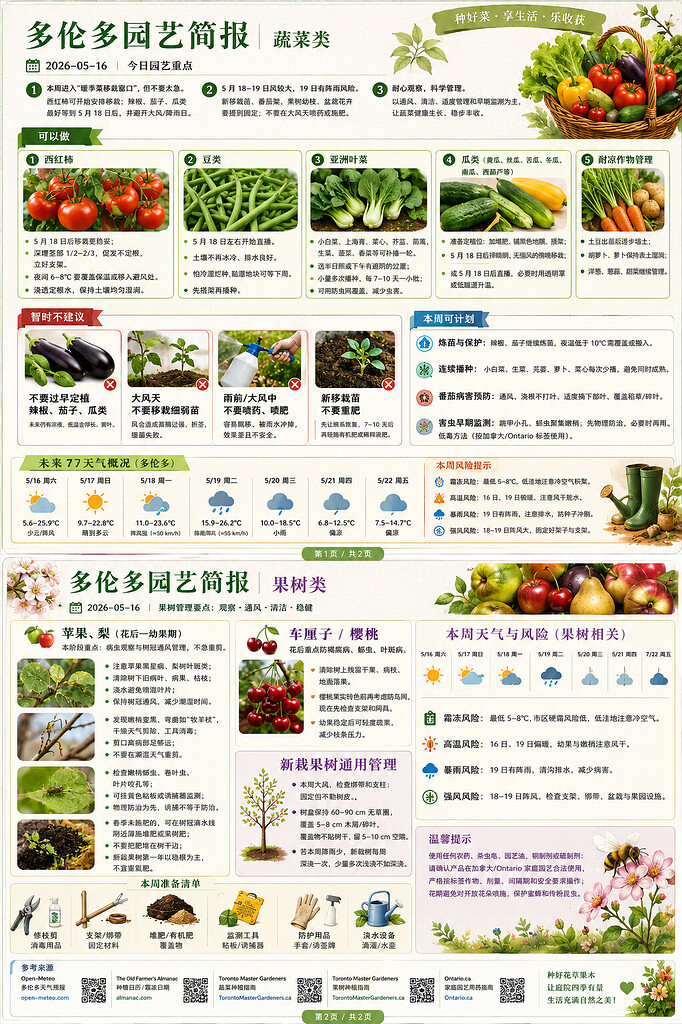 ChatGPT Image 2026年5月16日 07_32_32