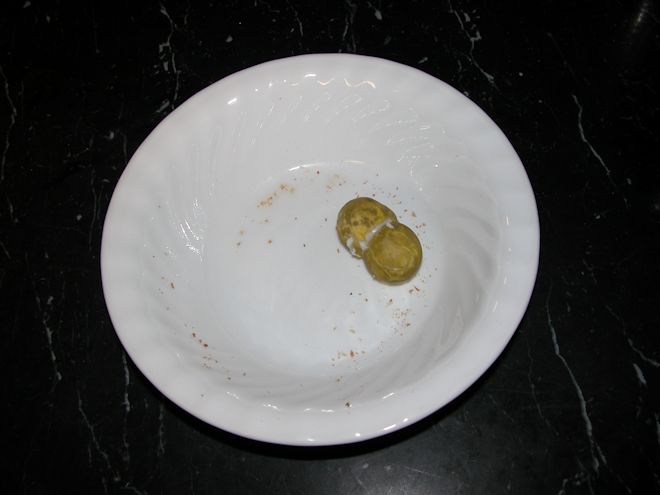 130304 eggses.jpg