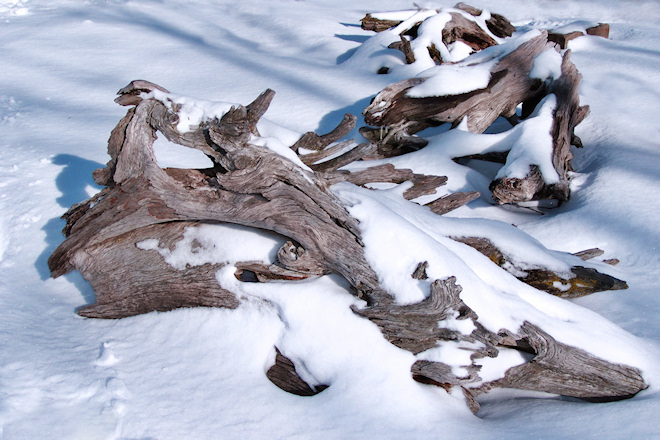 110219snowbs.jpg