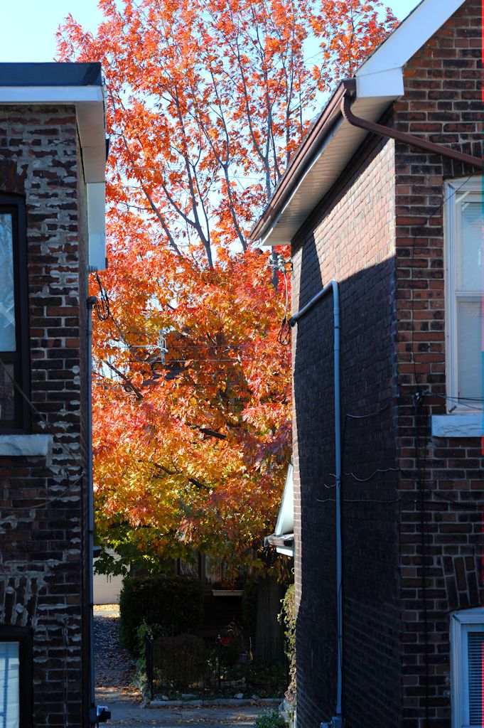 141112 oakam.jpg